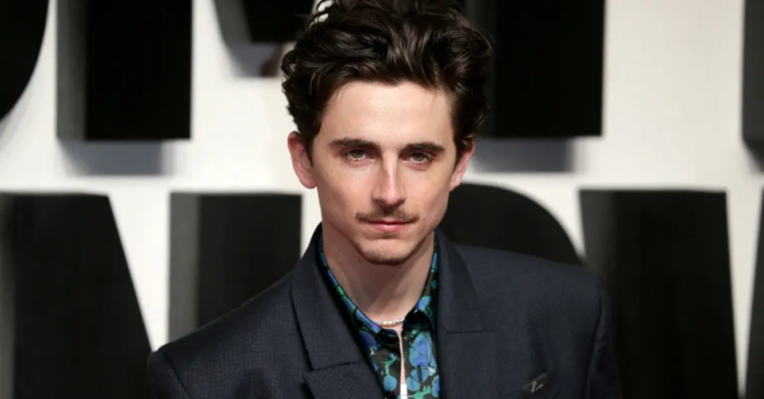 Timothée Chalamet